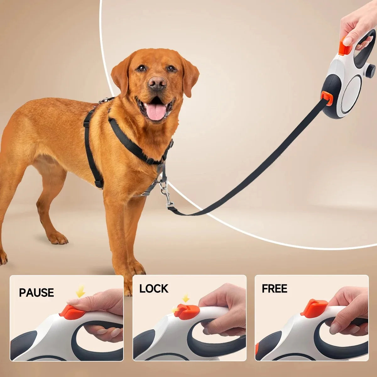 5m 8m 50kg Dog Leash Retractable Roulette Collar for Small Big Dogs Accessories Adjustable Walking Hiking French Bulldog Rope