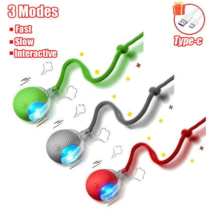 Cat Interactive Ball Toy Automatic Rolling Tail / Training Imitate Mouse