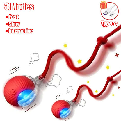 Cat Interactive Ball Toy Automatic Rolling Tail / Training Imitate Mouse