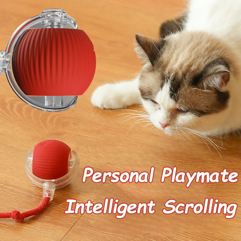 Cat Interactive Ball Toy Automatic Rolling Tail / Training Imitate Mouse