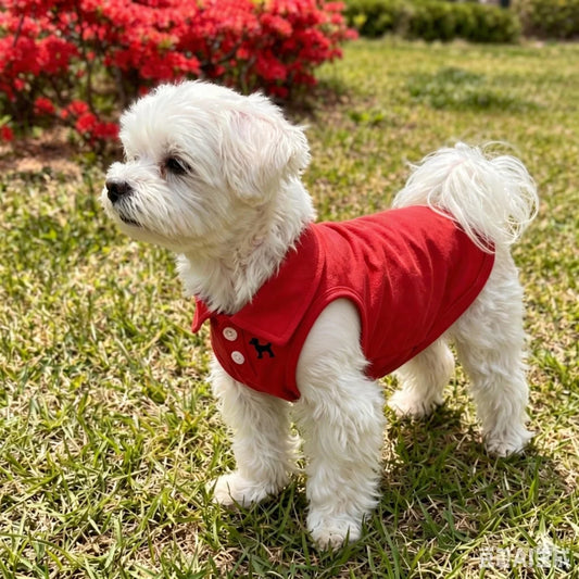 Solid Color Polo Shirt Puppy Thin Breathable T-shirt Cat Vest Bipod Pet Clothing Skin Friendly and Delicate