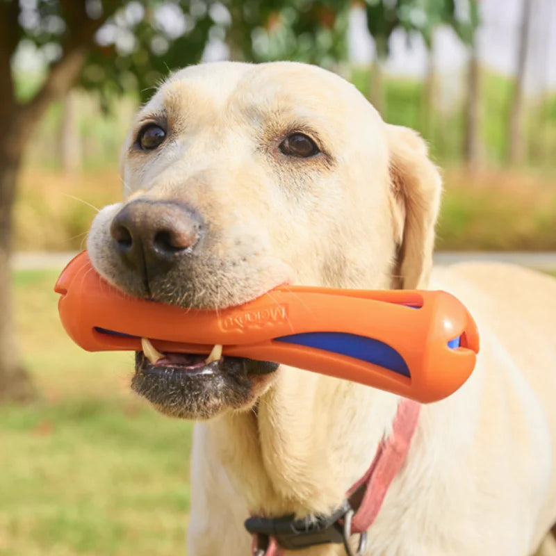 Dog Water-Lok Stick Interactive Swimming Toy Bite Resistant Floats Chewable Pet Aquatic Activity Fun Training Play