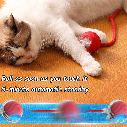 Cat Interactive Ball Toy Automatic Rolling Tail / Training Imitate Mouse